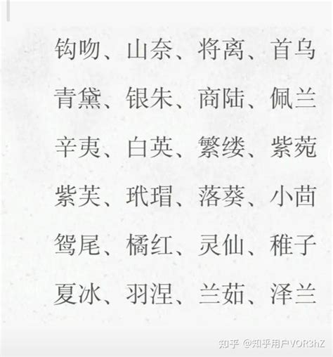 有什麼好聽的名字|取中文名字